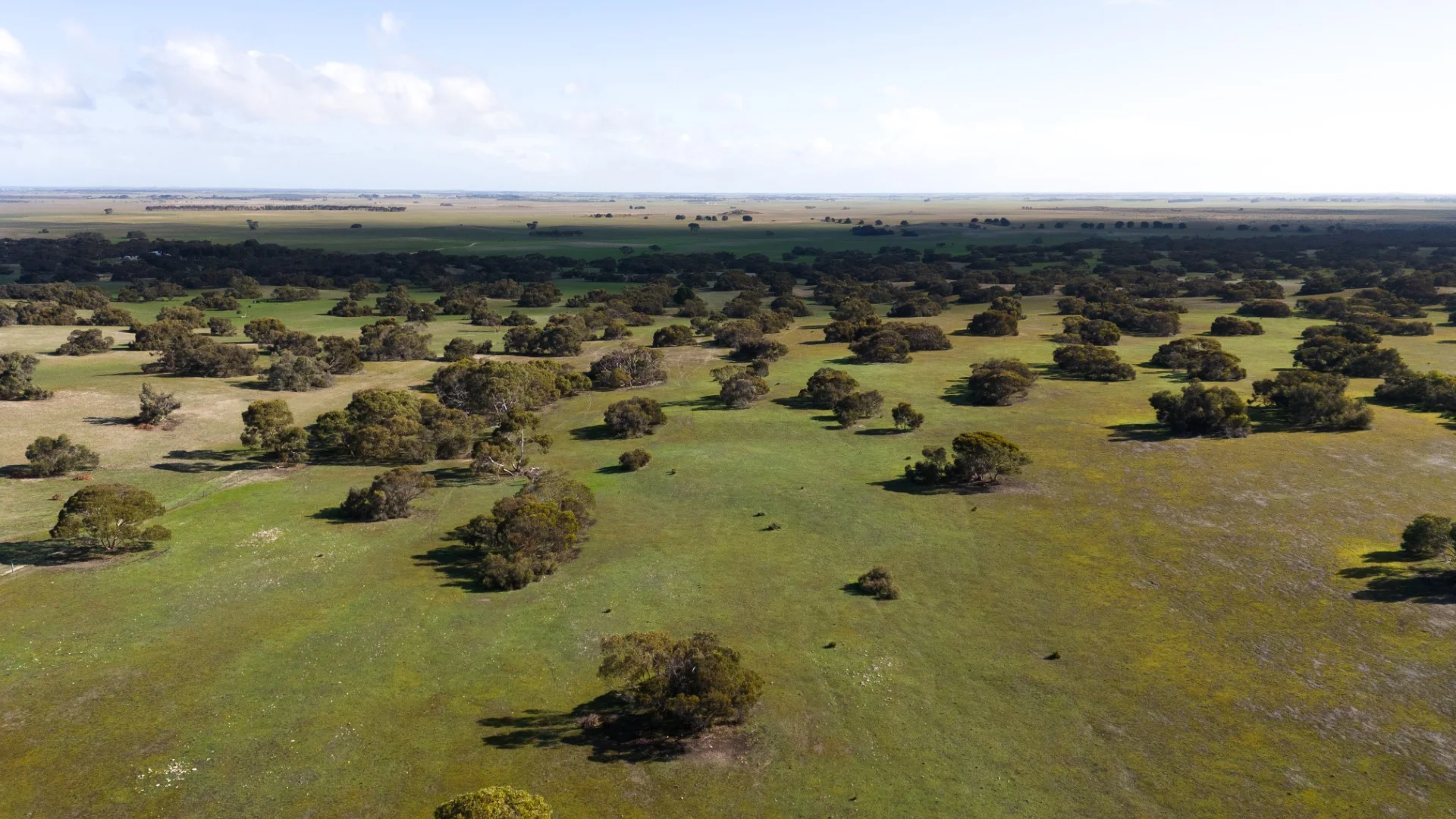 Additional image 12 of 565 Gordon Road, Meningie East SA 5264