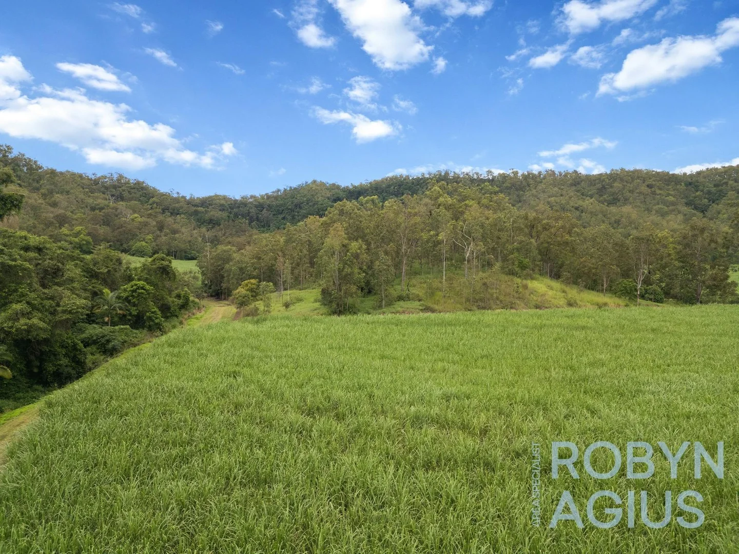 Pinnacle QLD 4741 photo 5