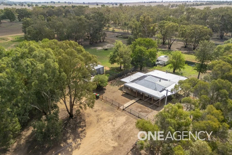 Additional image 16 of 78 HANKS LANE, Old Junee NSW 2652