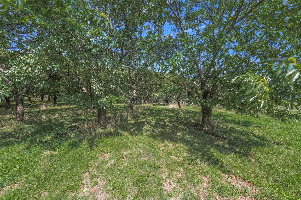 Additional image 9 of 3356 Batlow Road, Batlow NSW 2730