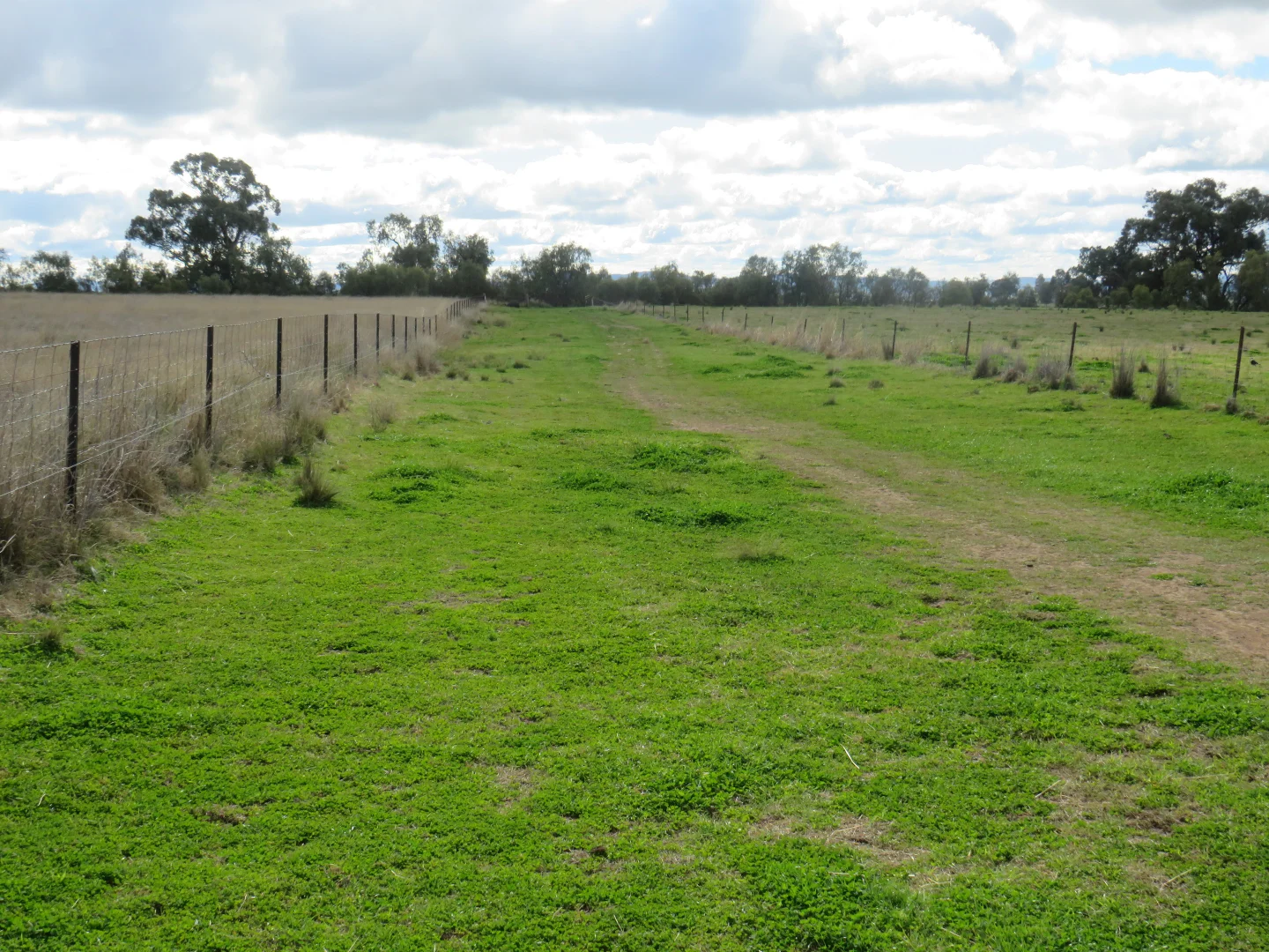 Additional image 36 of "Elstern" 1872 Old Winton Road, Tamworth NSW 2340