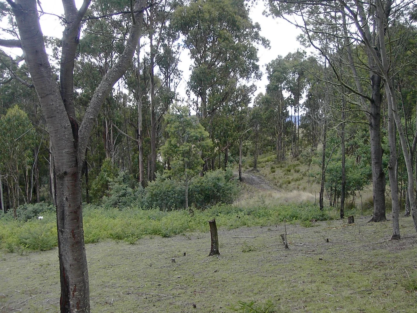Additional image 8 of 420 Springhill Bottom Road, Colebrook TAS 7027