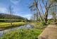 Additional image 28 of Stunning house with park like grounds close to Wells