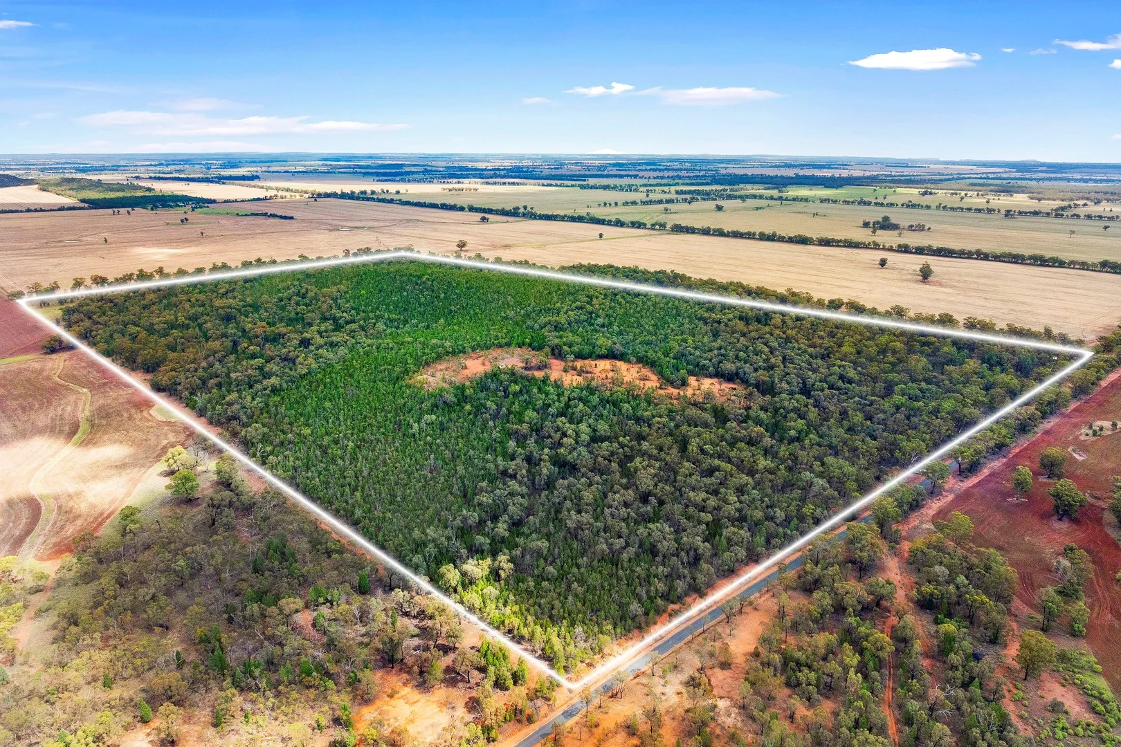 680 Schlunkes Lane, Temora NSW 2666