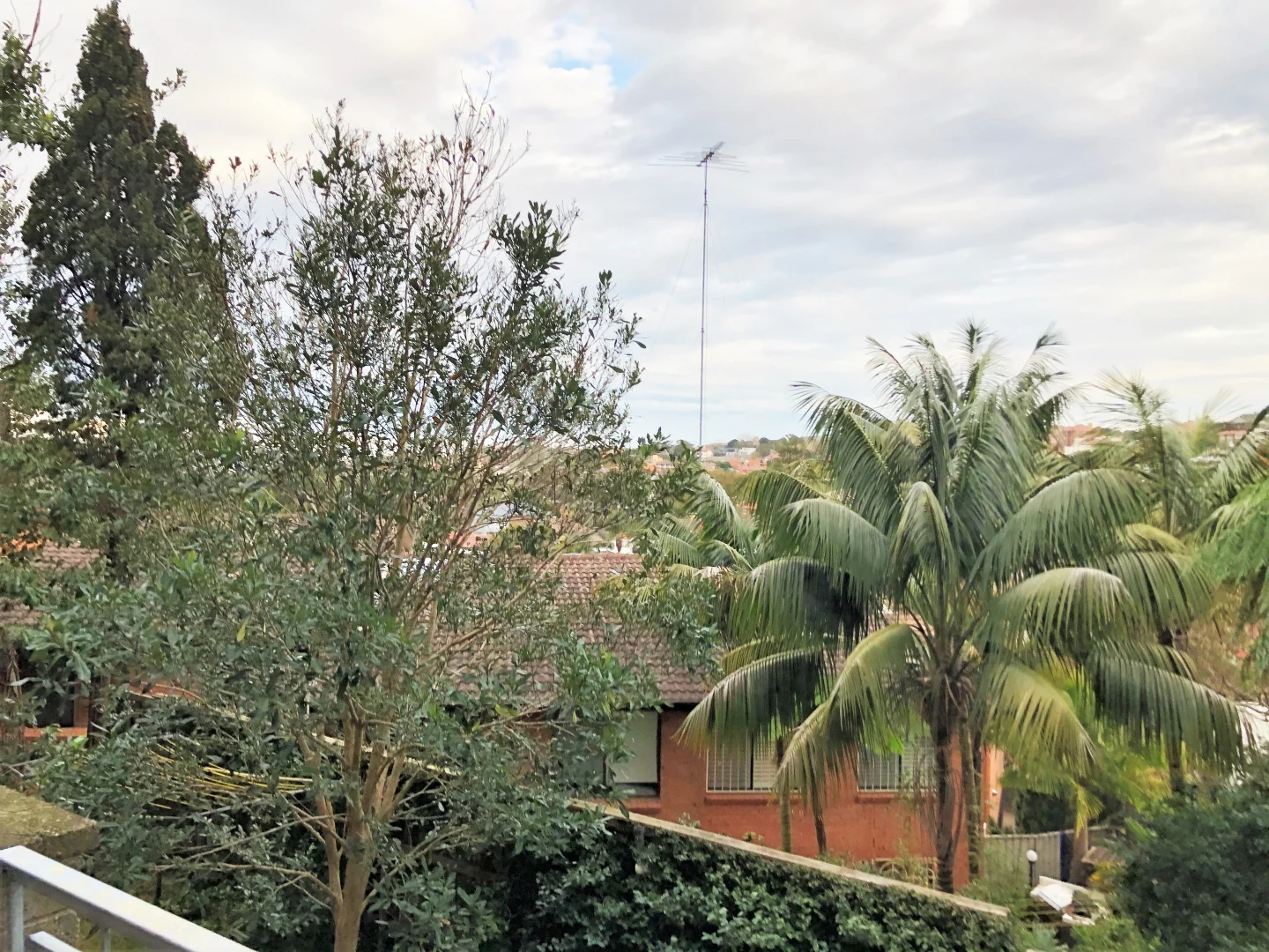 Additional image 4 of 233 Alison Road, Randwick NSW 2031