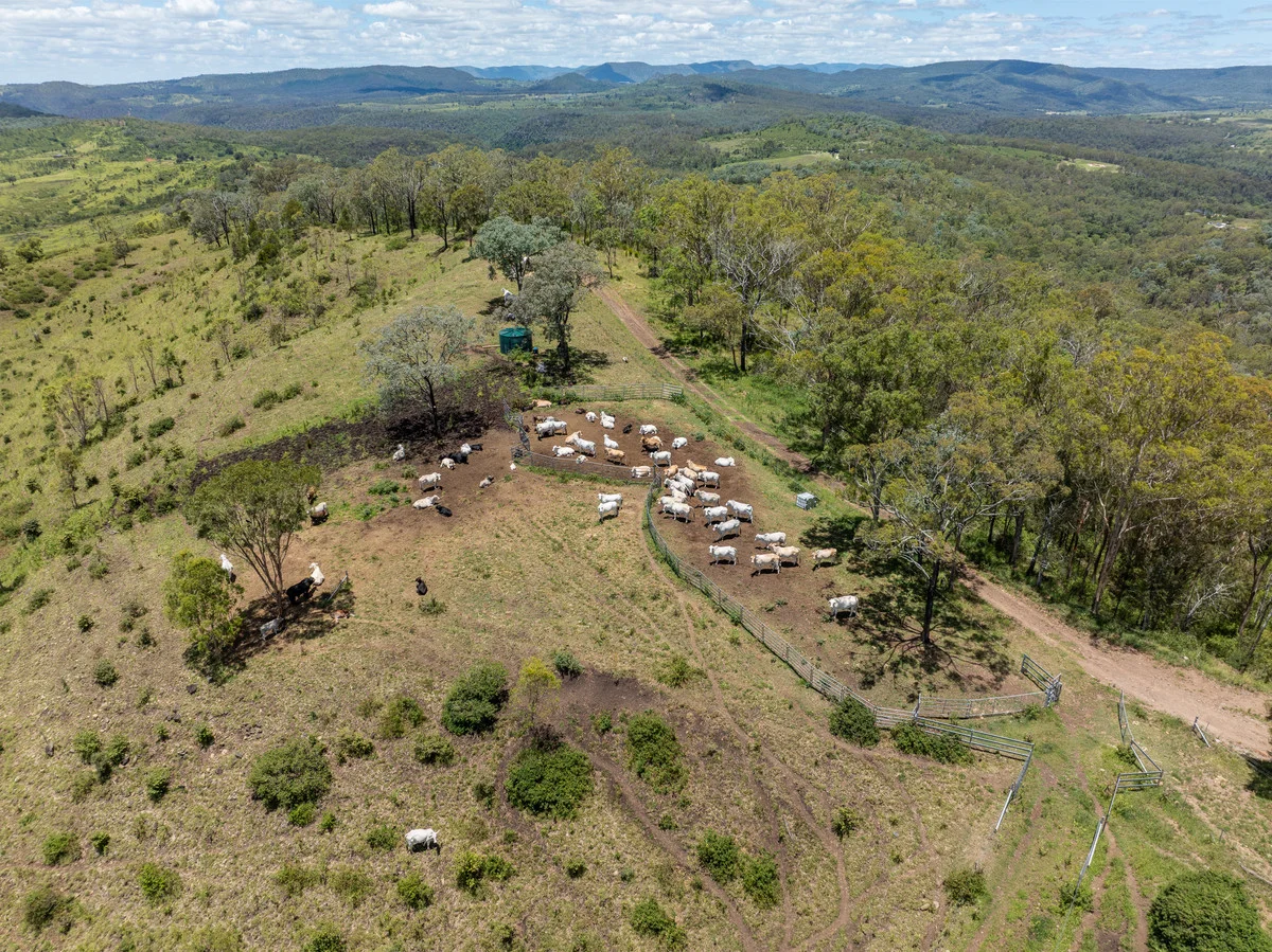 Additional image 16 of 31 & 32 Armstrong Road, West Haldon QLD 4359