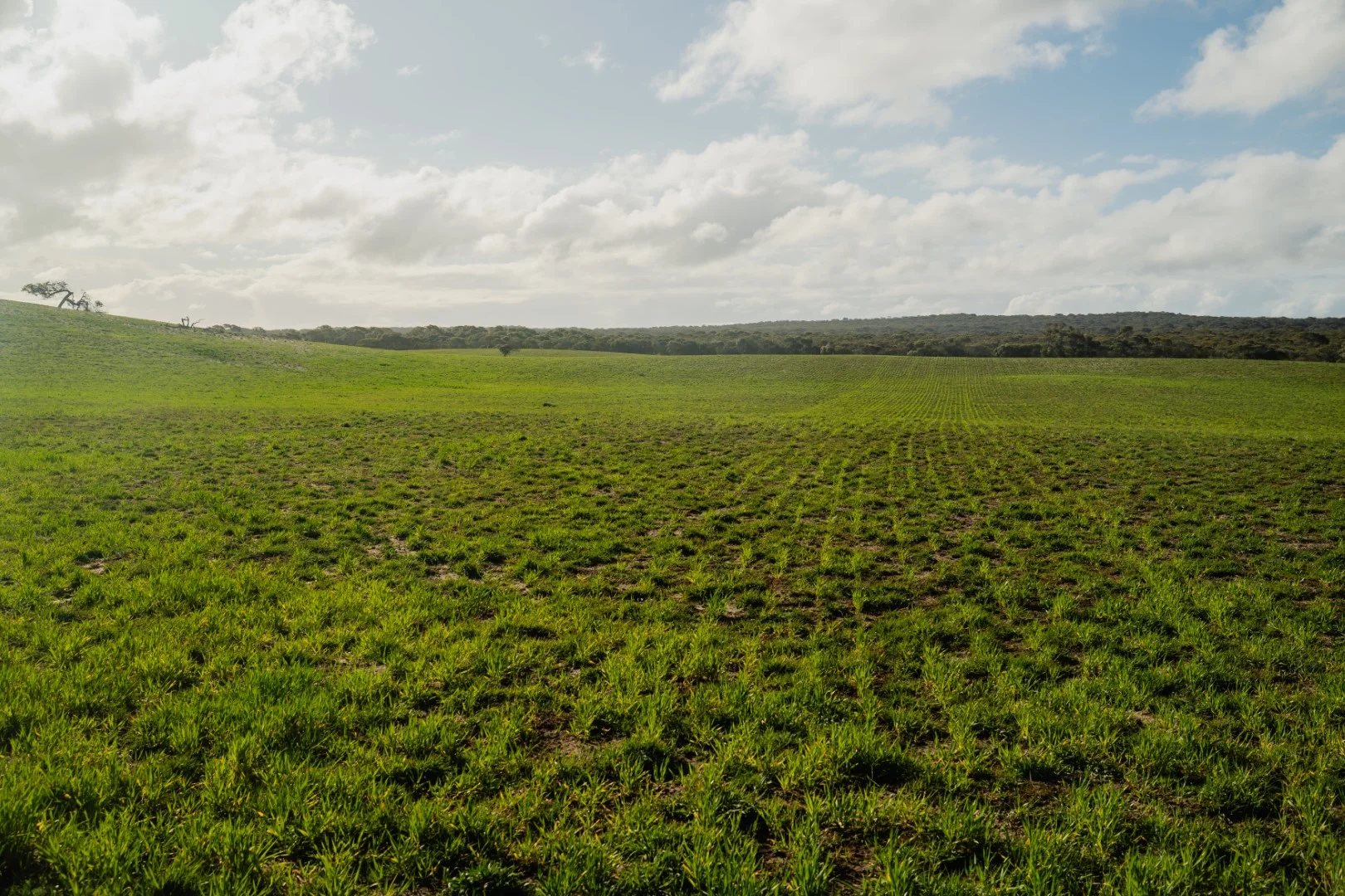 Additional image 5 of 565 Gordon Road, Meningie East SA 5264