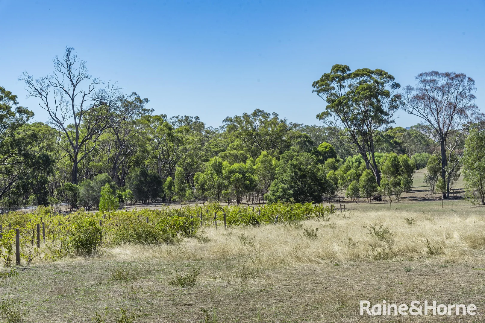 Additional image 34 of 1000 Northern Highway, Ladys Pass VIC 3523