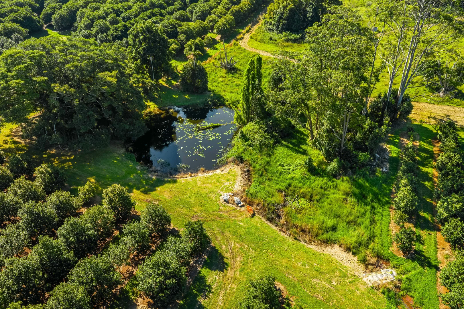 Additional image 13 of 250 Dalwood Road, Dalwood NSW 2477