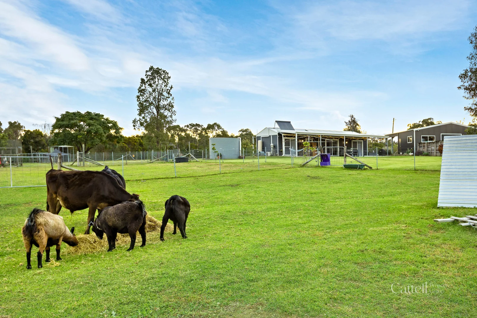 Additional image 44 of 3 York Street, Abermain NSW 2326