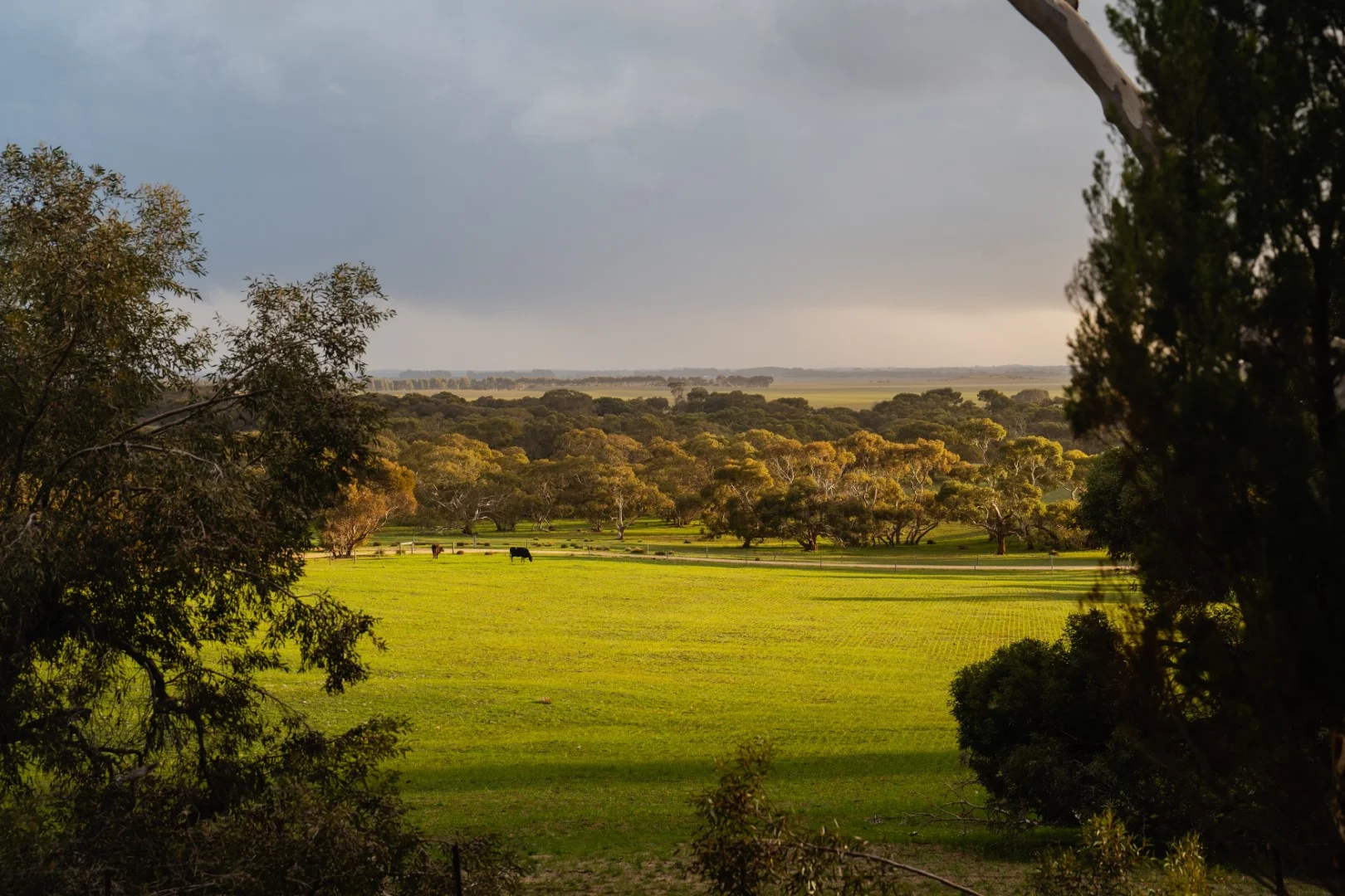 565 Gordon Road, Meningie East SA 5264