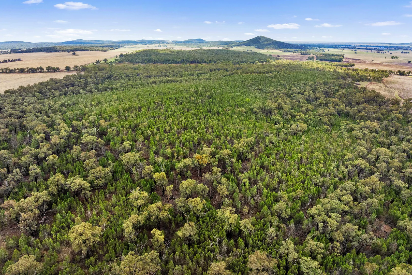 Additional image 6 of 680 Schlunkes Lane, Temora NSW 2666