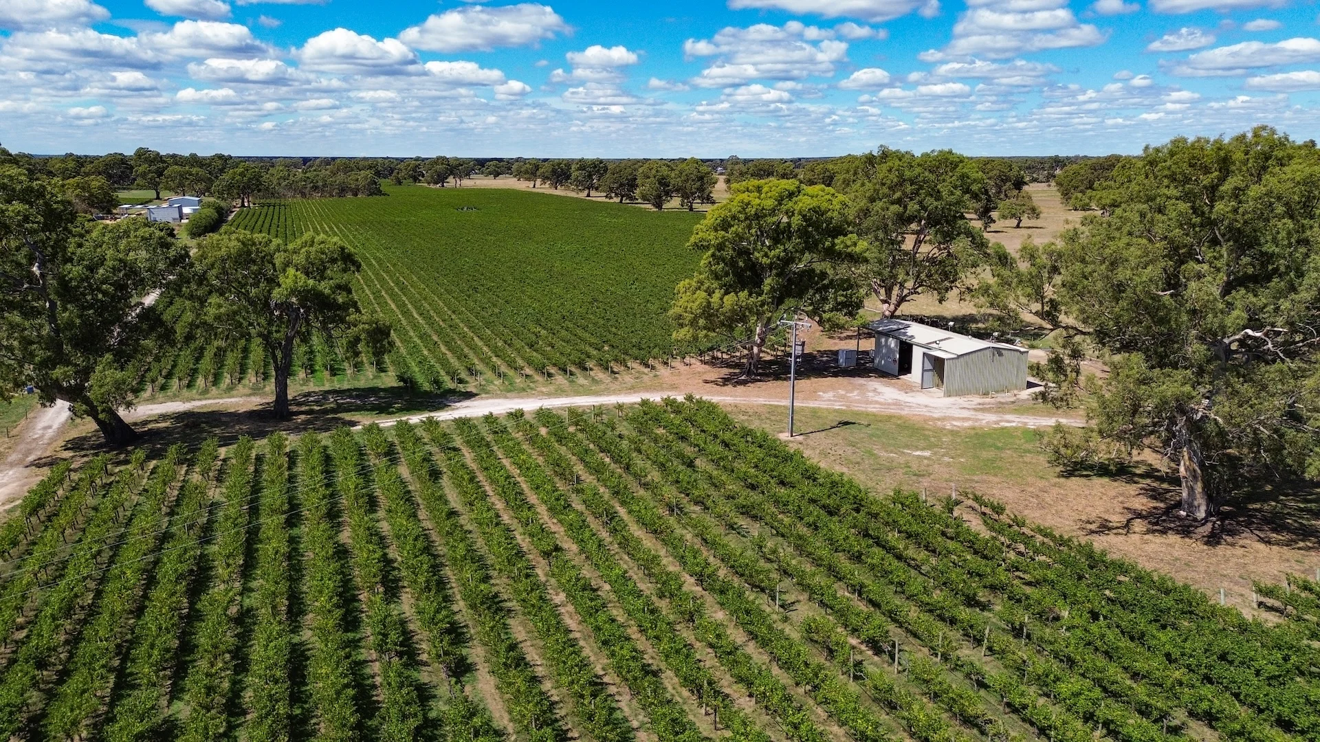 Additional image 7 of V&A Lane, Coonawarra SA 5263