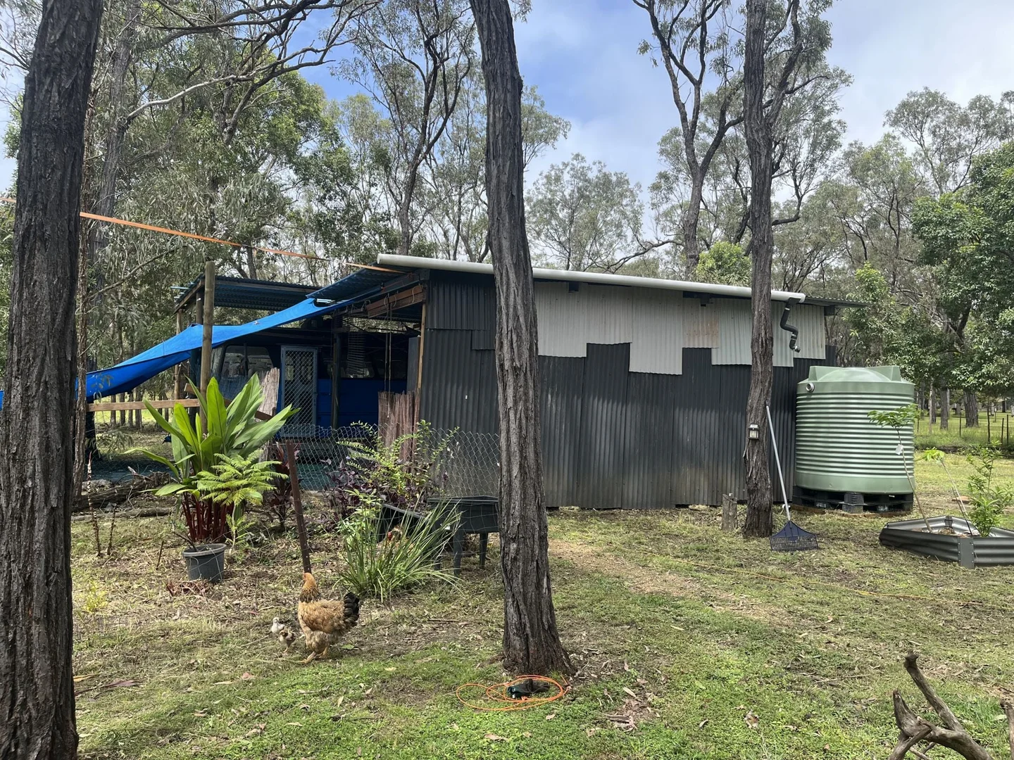 Additional image 21 of 24 Dalrymple Drive, Millstream QLD 4888