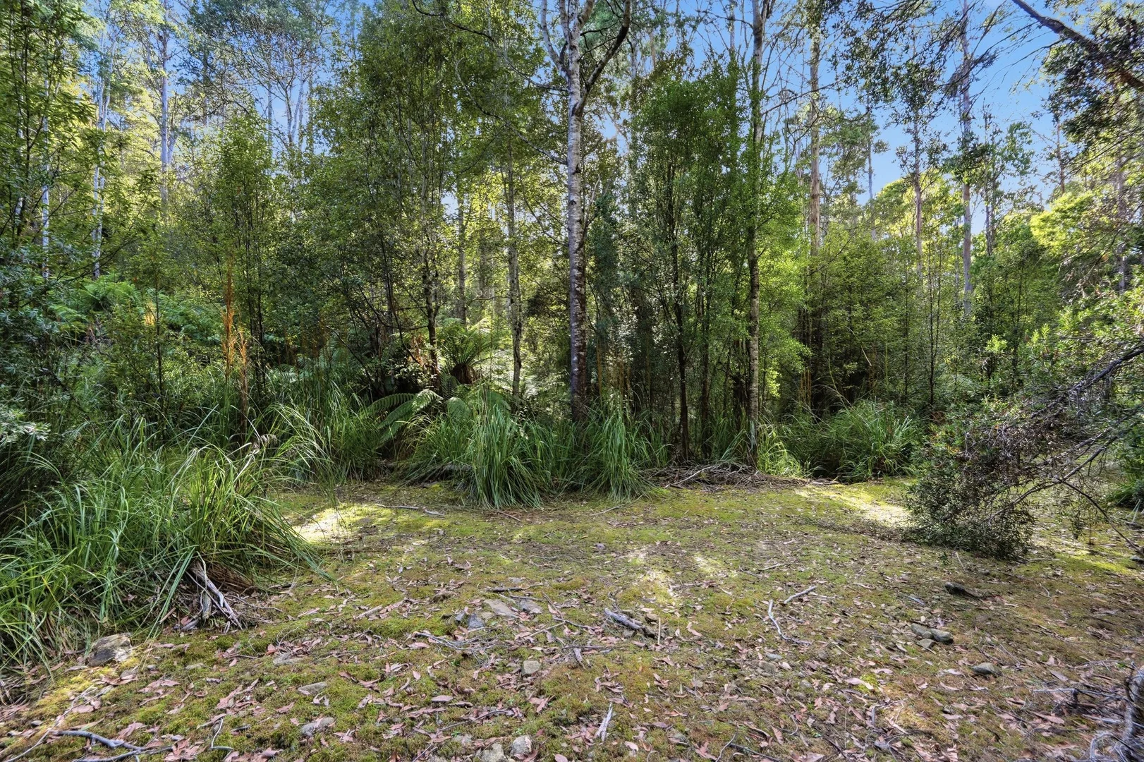 Additional image 8 of 111 Underwoods Road, Nicholls Rivulet TAS 7112