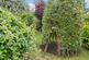 Additional image 17 of Warren Lane, Torrington, Devon