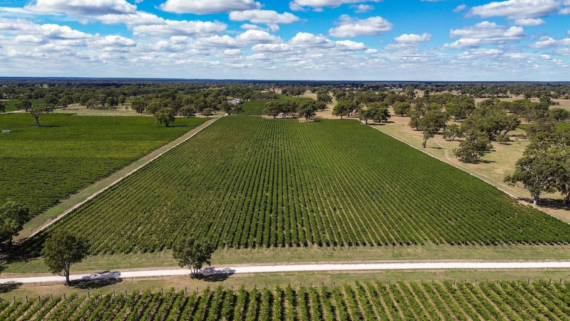 Additional image 4 of V&A Lane, Coonawarra SA 5263
