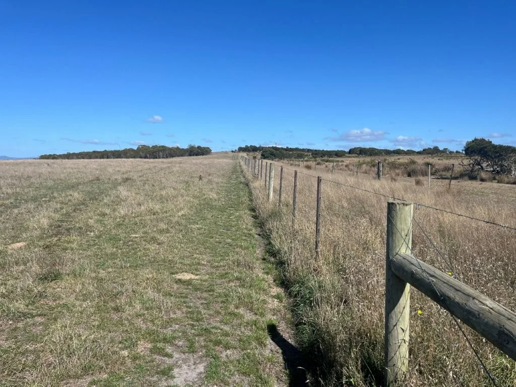 Additional image 13 of 559 North Ansons Road, Gladstone TAS 7264