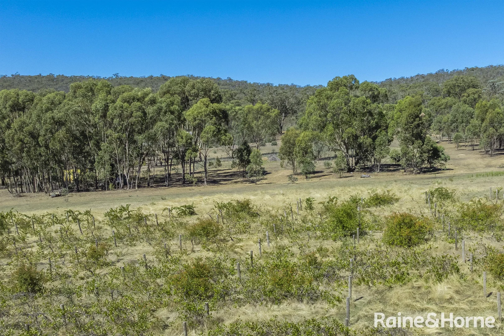 Additional image 14 of 1000 Northern Highway, Ladys Pass VIC 3523