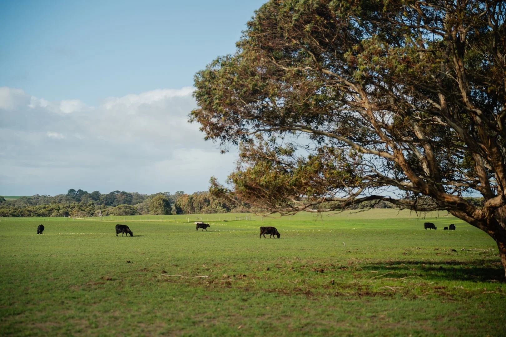 Additional image 6 of 565 Gordon Road, Meningie East SA 5264
