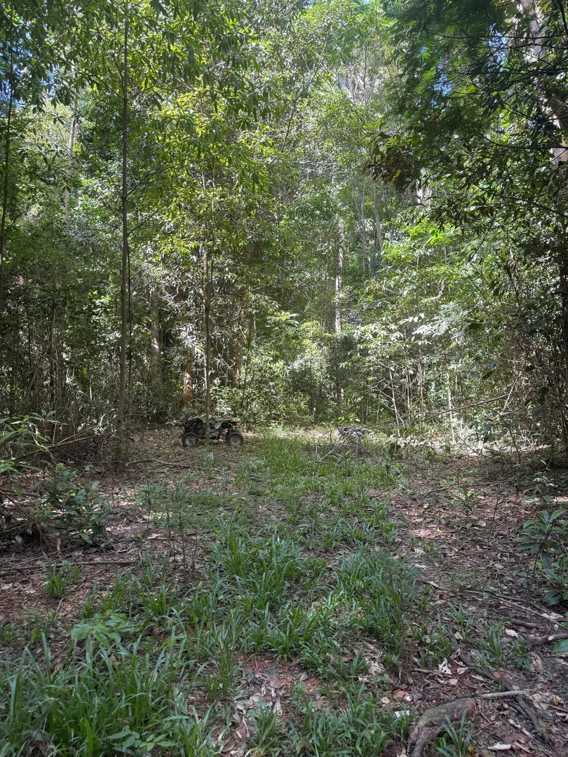 Additional image 5 of 48 Sanctuary Close, Speewah QLD 4881