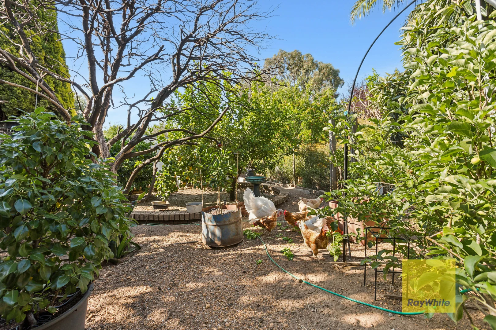 Additional image 32 of 9 Meadow Lane, Parkerville WA 6081