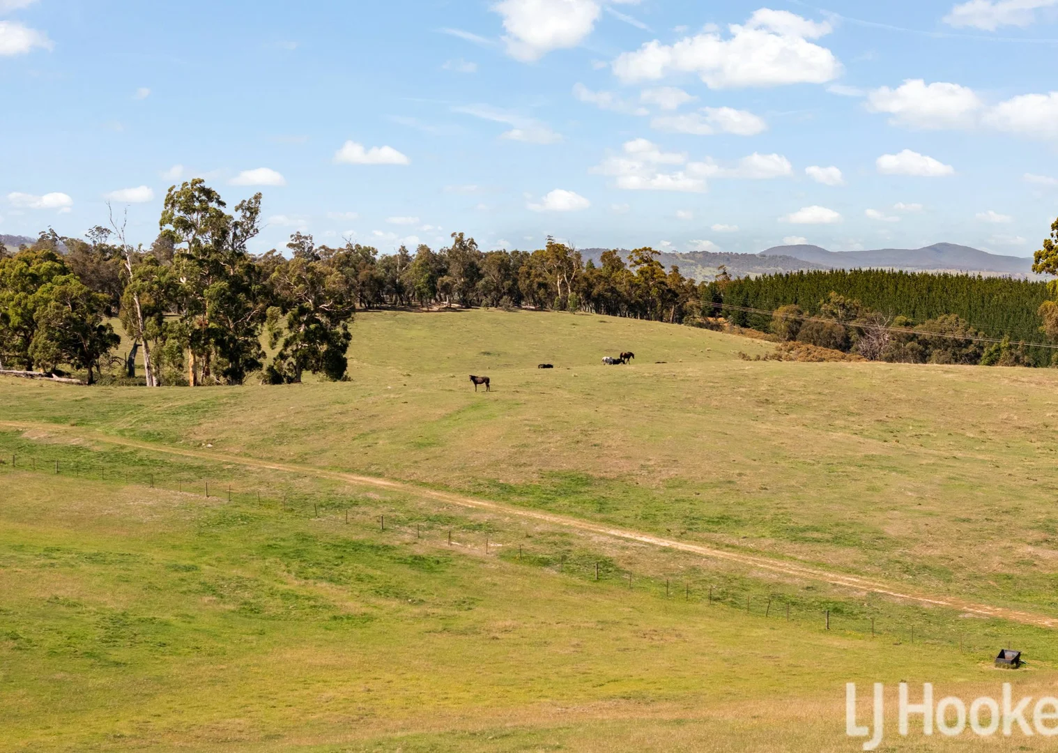 Additional image 13 of Meadow Flat NSW 2795