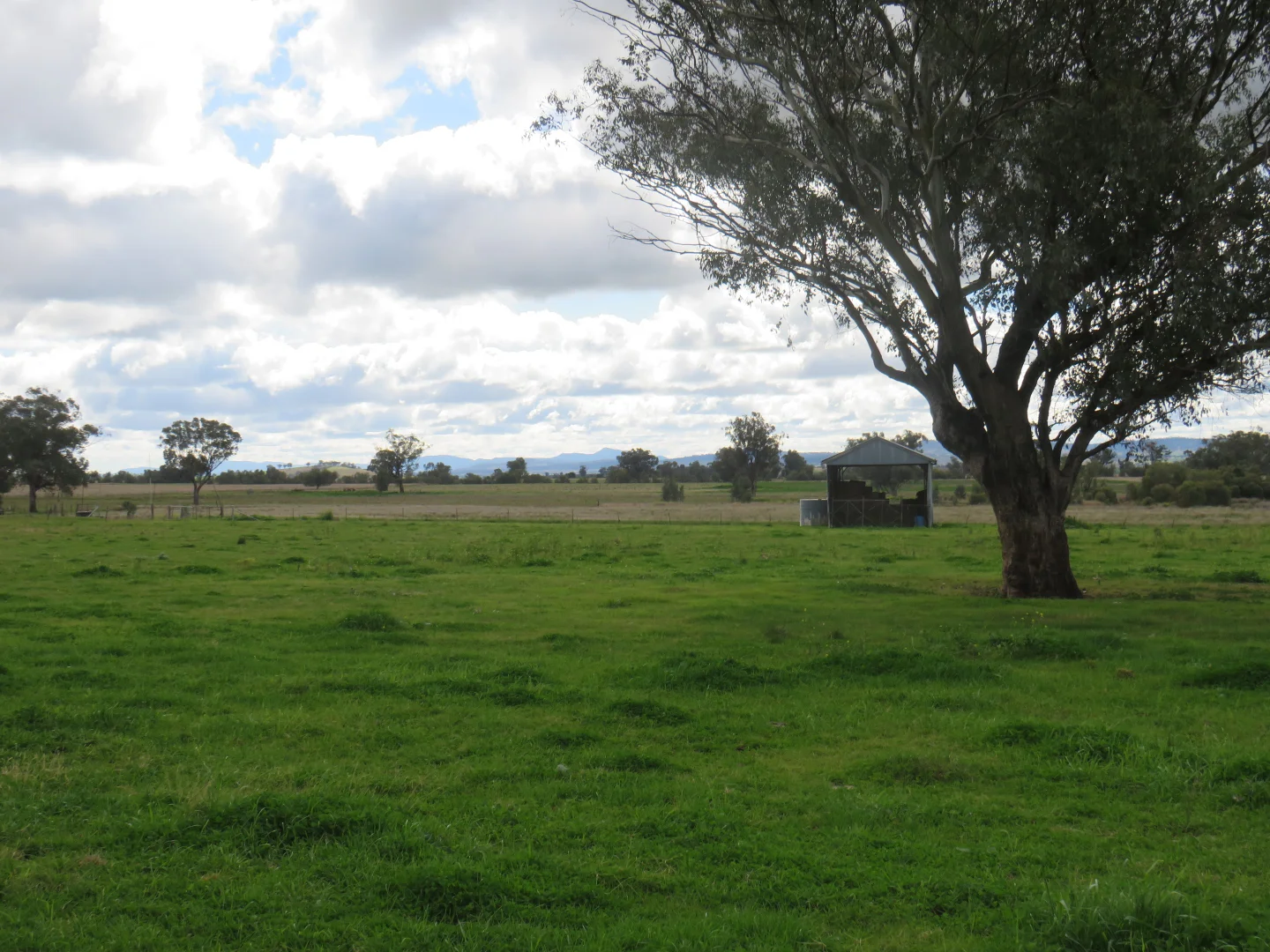 Additional image 34 of "Elstern" 1872 Old Winton Road, Tamworth NSW 2340