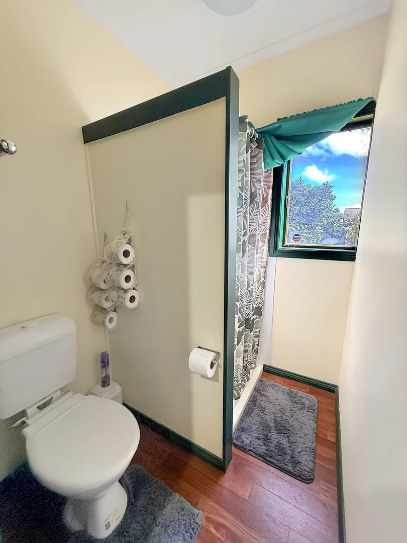 Additional image 10 of 24 HALLORAN STREET, Tolga QLD 4882