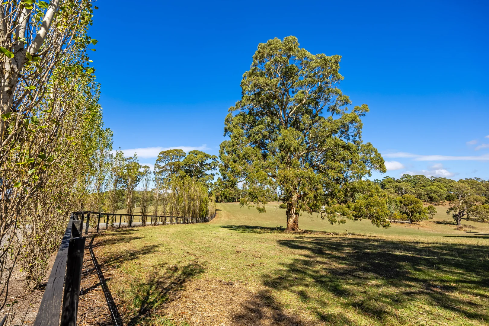 Additional image 66 of 444 Hawthorn Road, Echunga SA 5153