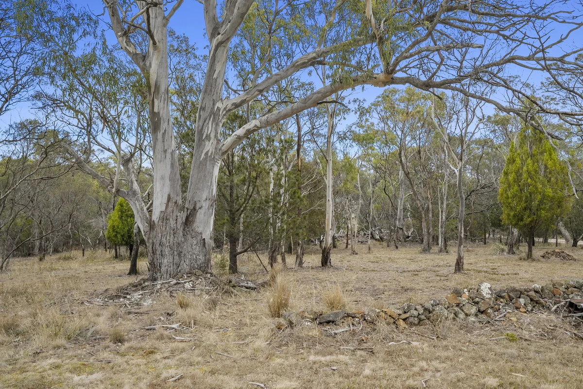 Additional image 27 of 42 Cottons Drive, Little Swanport TAS 7190