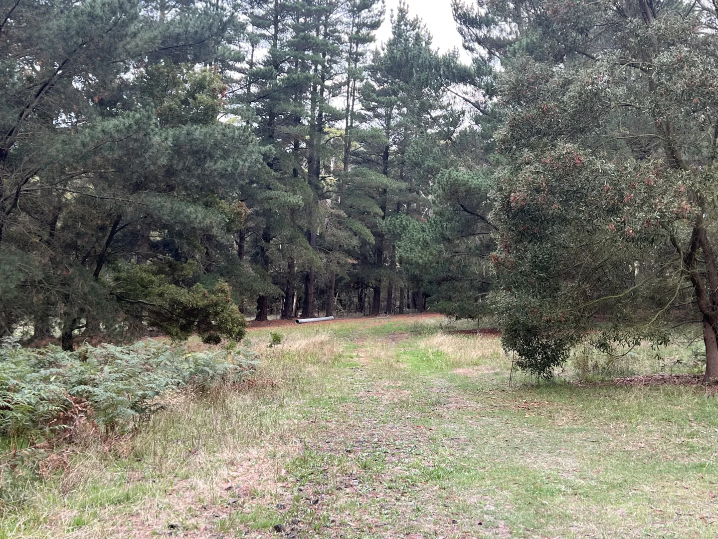 Additional image 11 of Lot 2 Forbes Road, Macedon VIC 3440
