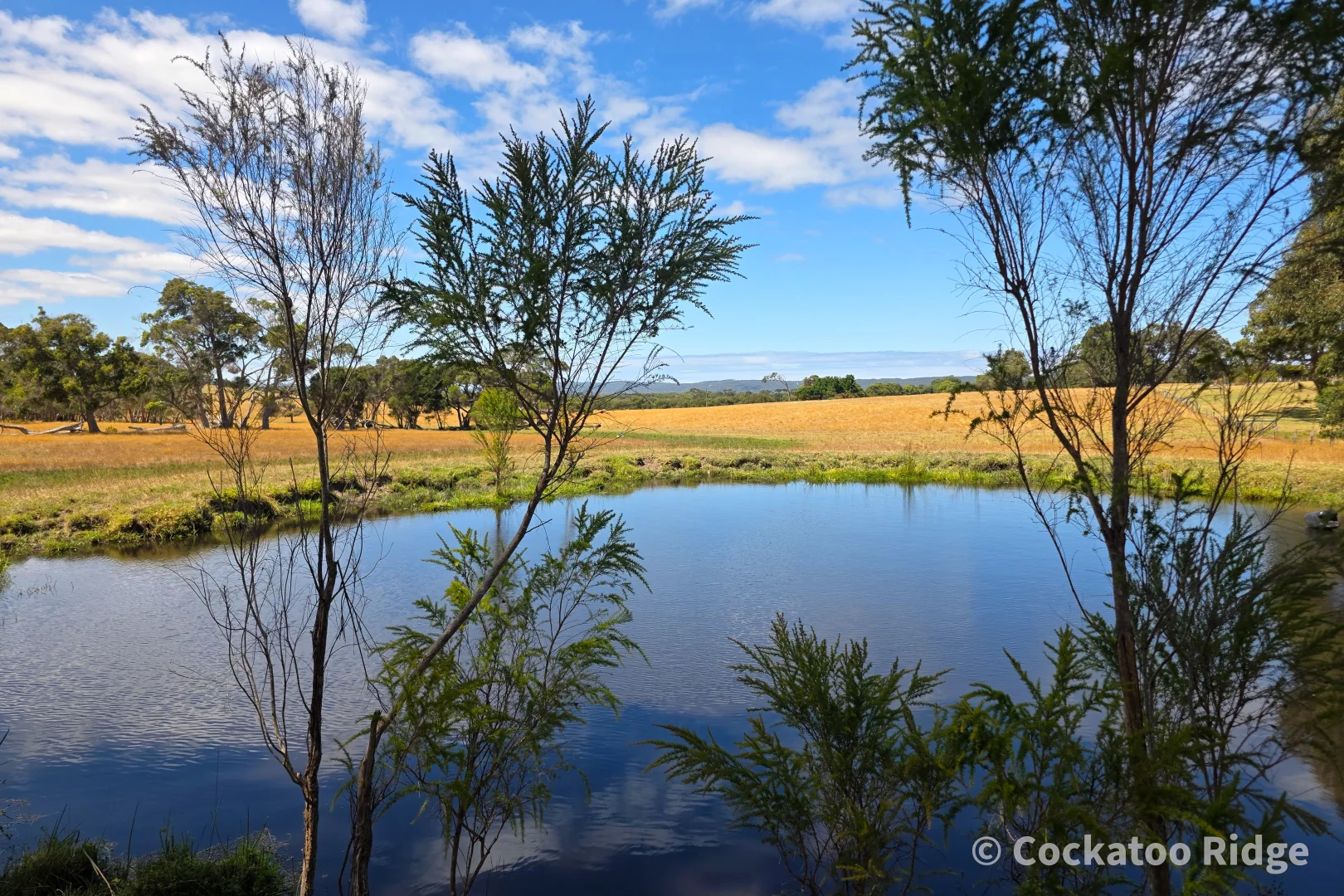 Additional image 6 of 96 Rudgyard Place, Hay WA 6333
