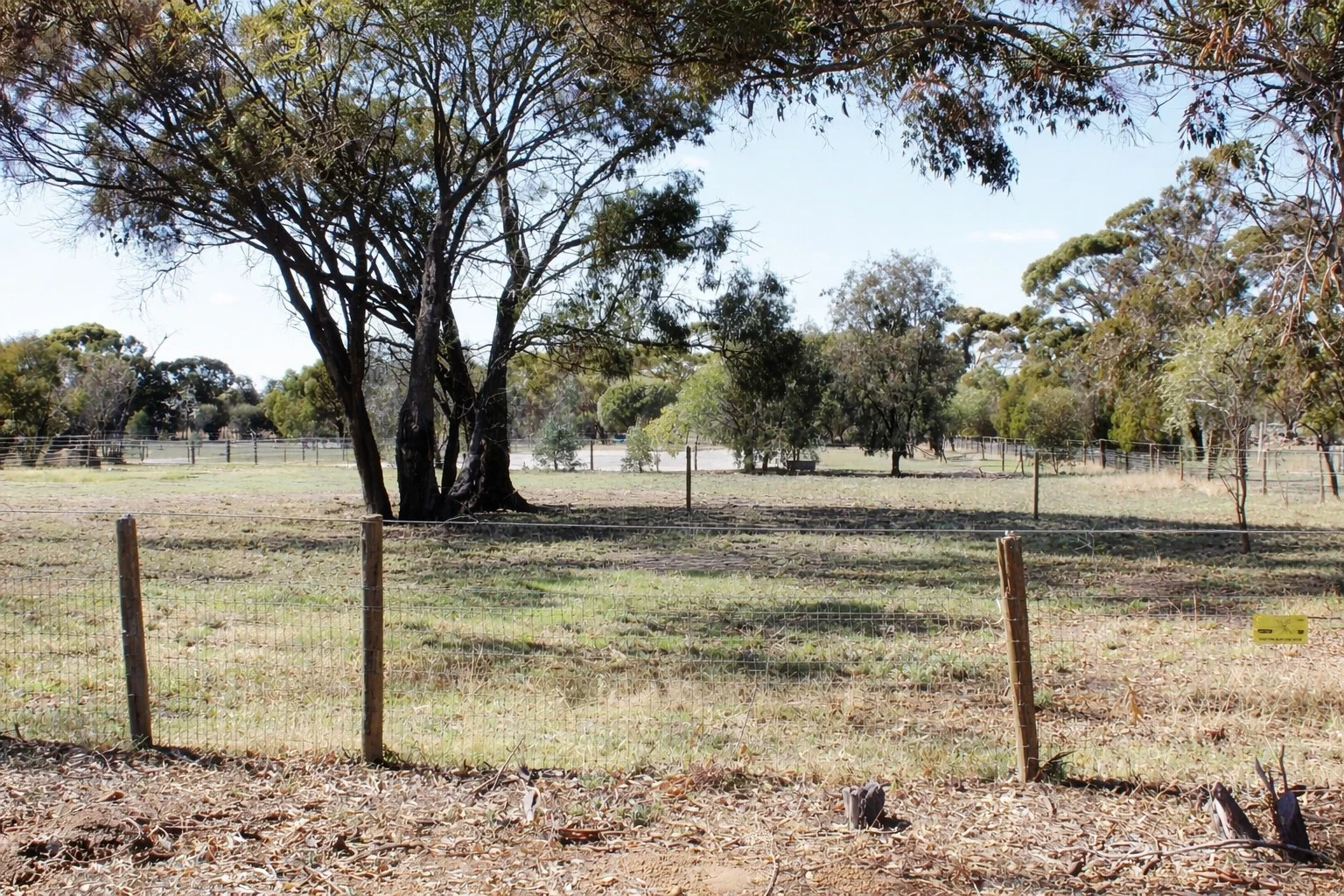 Additional image 23 of 18 COSTELLOE STREET, Wagin WA 6315