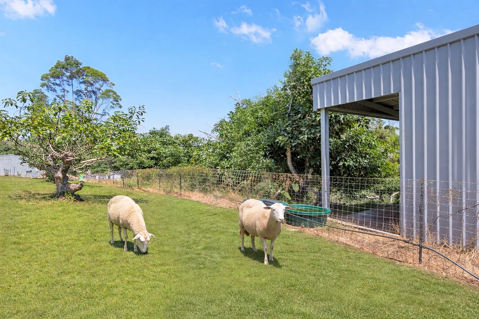 Additional image 31 of 210-220 Macdonnell Road, Tamborine Mountain QLD 4272