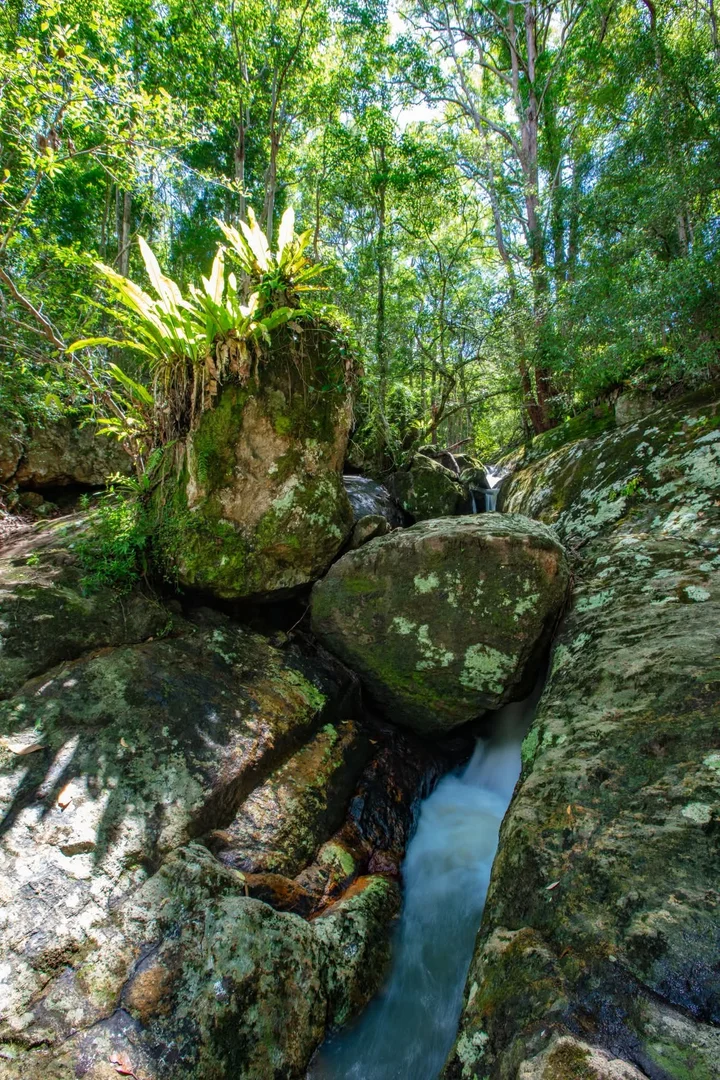 Additional image 20 of 126 Narrows Road, North Maleny QLD 4552