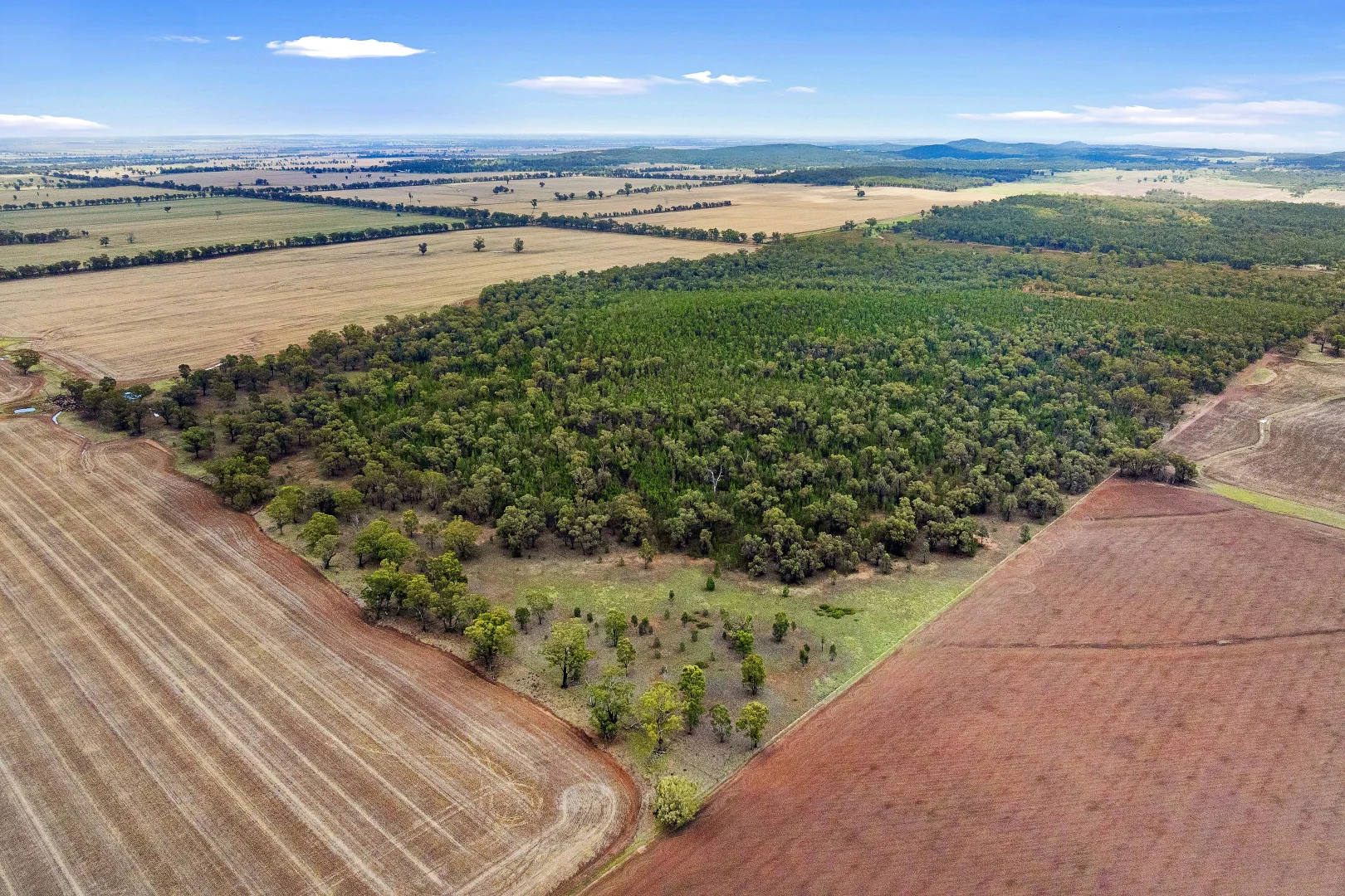 Additional image 2 of 680 Schlunkes Lane, Temora NSW 2666