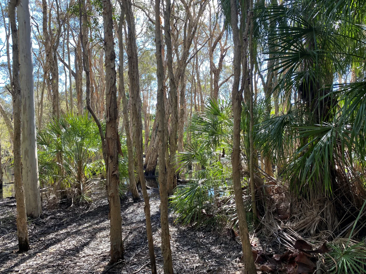 Additional image 25 of 51 Waters Edge Drive, Craignish QLD 4655