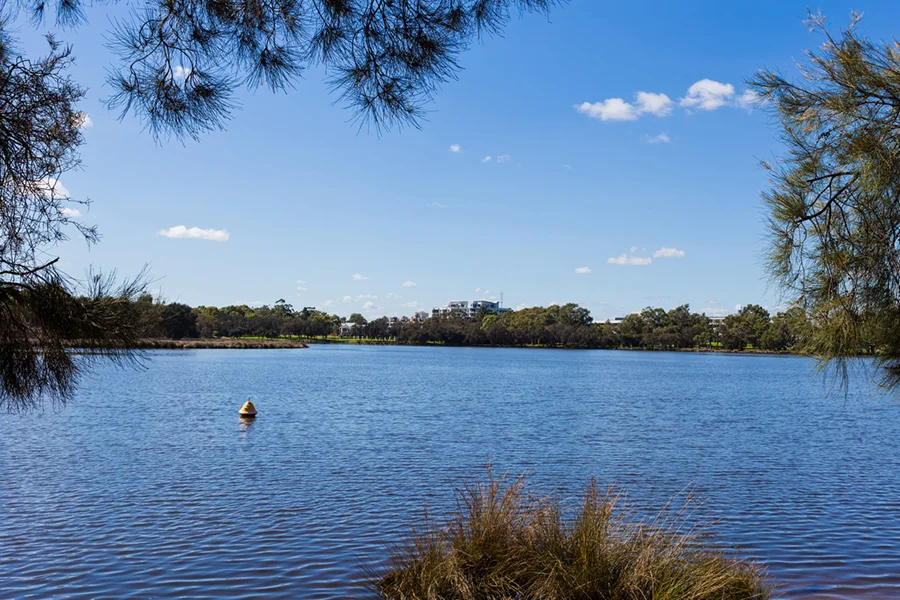 Additional image 21 of 25 Hardey Road, Maylands WA 6051