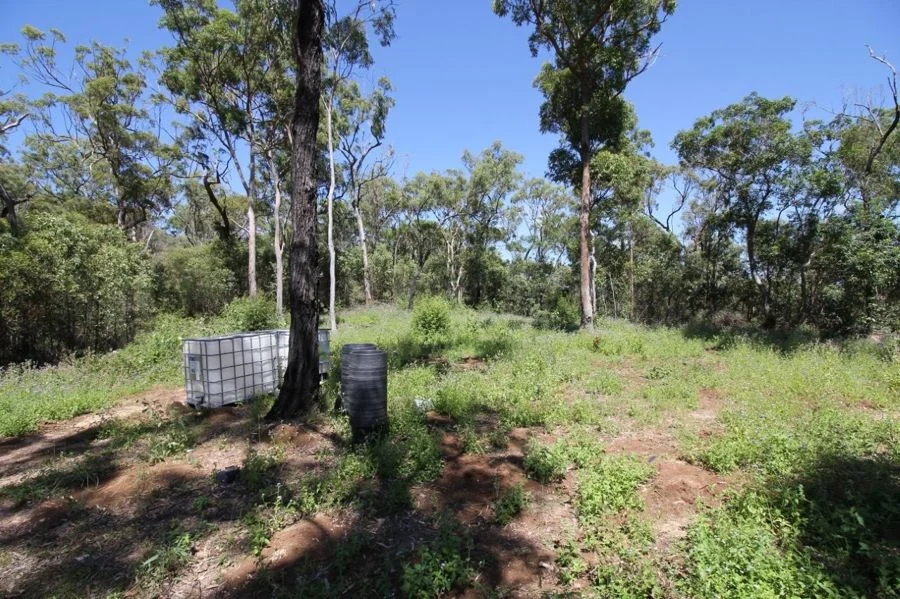 Additional image 34 of 538 Capricornia Drive, Deepwater QLD 4674