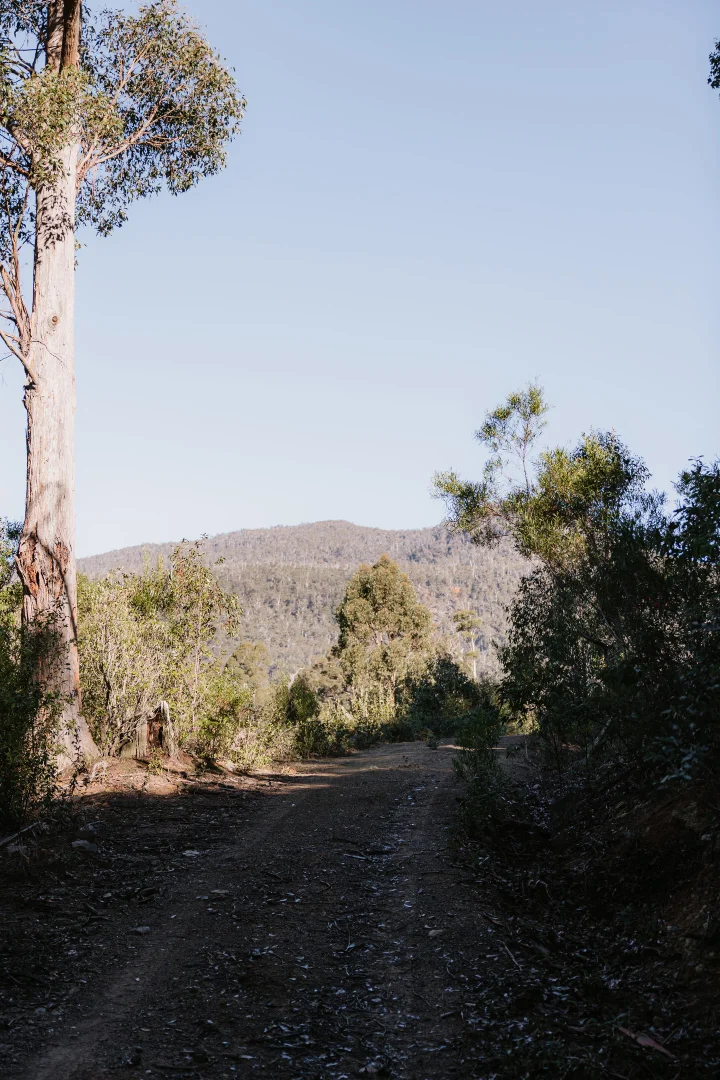 Additional image 5 of PID 6753927 Hop Valley Road, Blackwood Creek TAS 7301