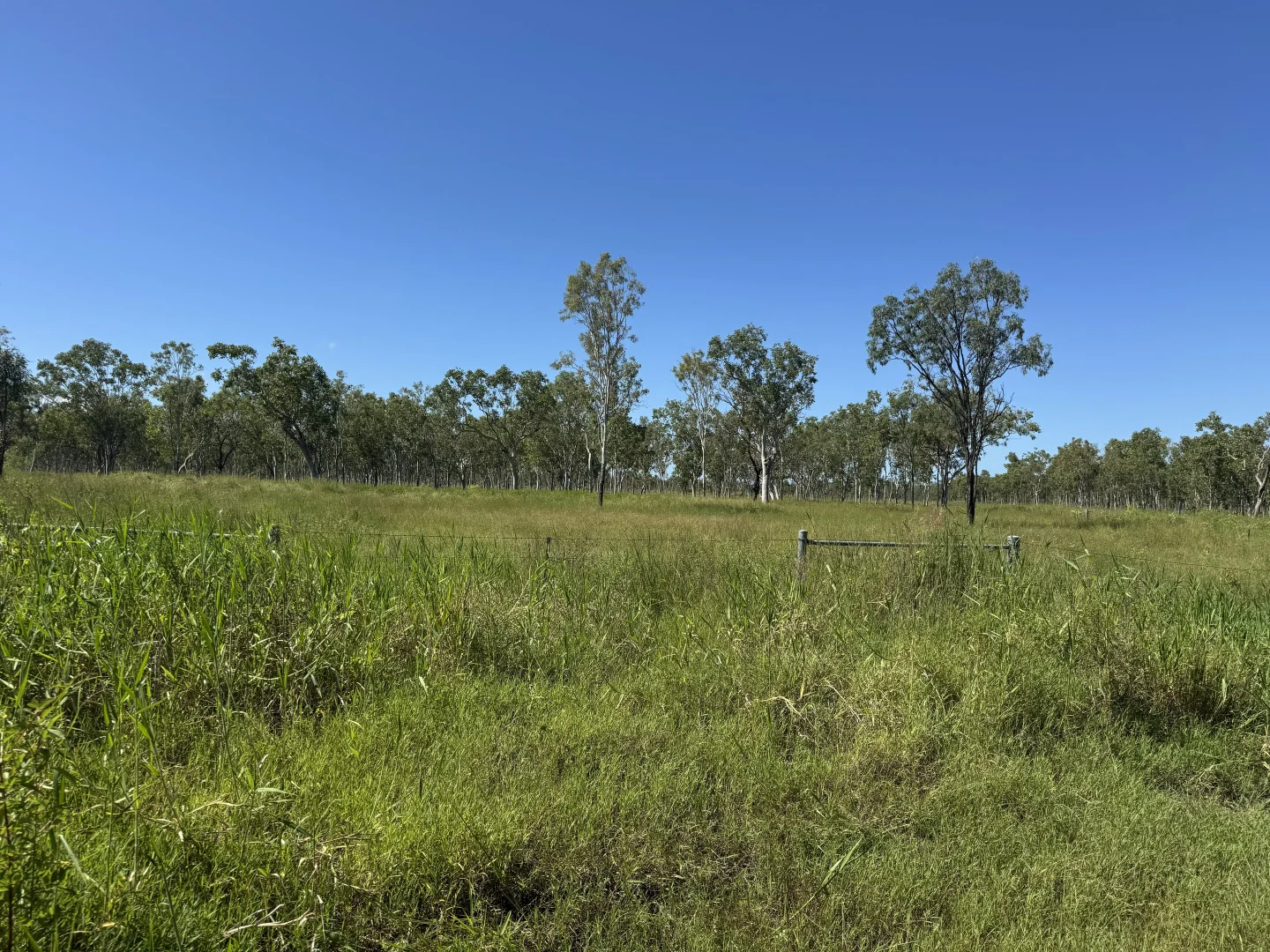 Additional image 6 of 618 Weaver Road, Swans Lagoon QLD 4807