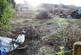 Additional image 19 of The Cliff, Tansley, Derbyshire. DE4 5FY