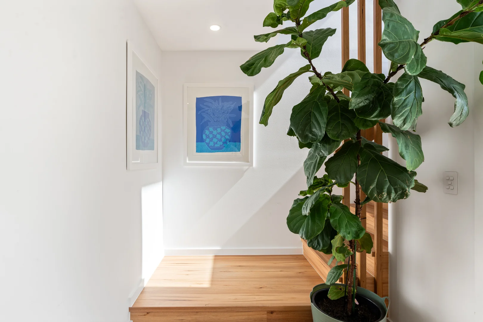 Additional image 26 of 166 Townson Avenue, Palm Beach QLD 4221