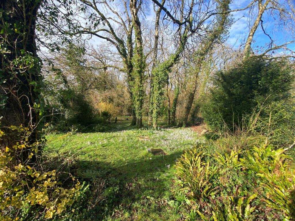 Additional image 3 of Adams Green, Halstock, Dorset