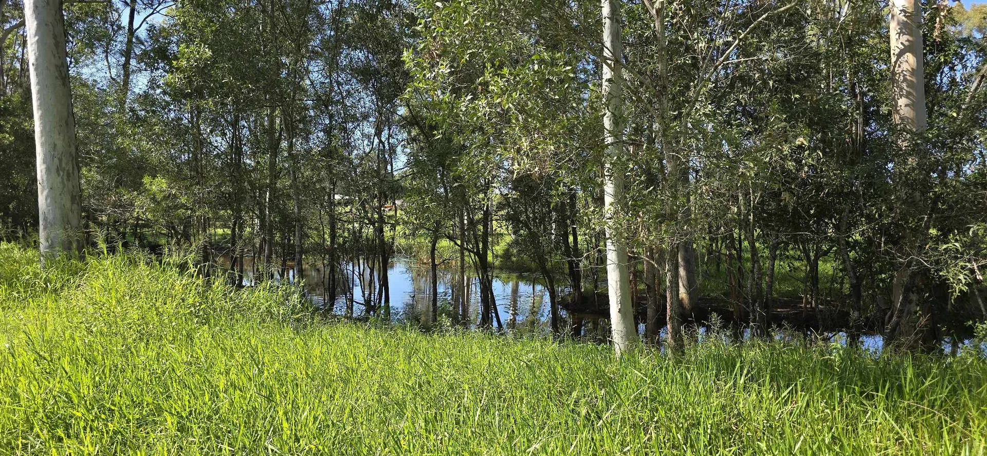 Additional image 4 of 457 Teddington Road, Tinana South QLD 4650