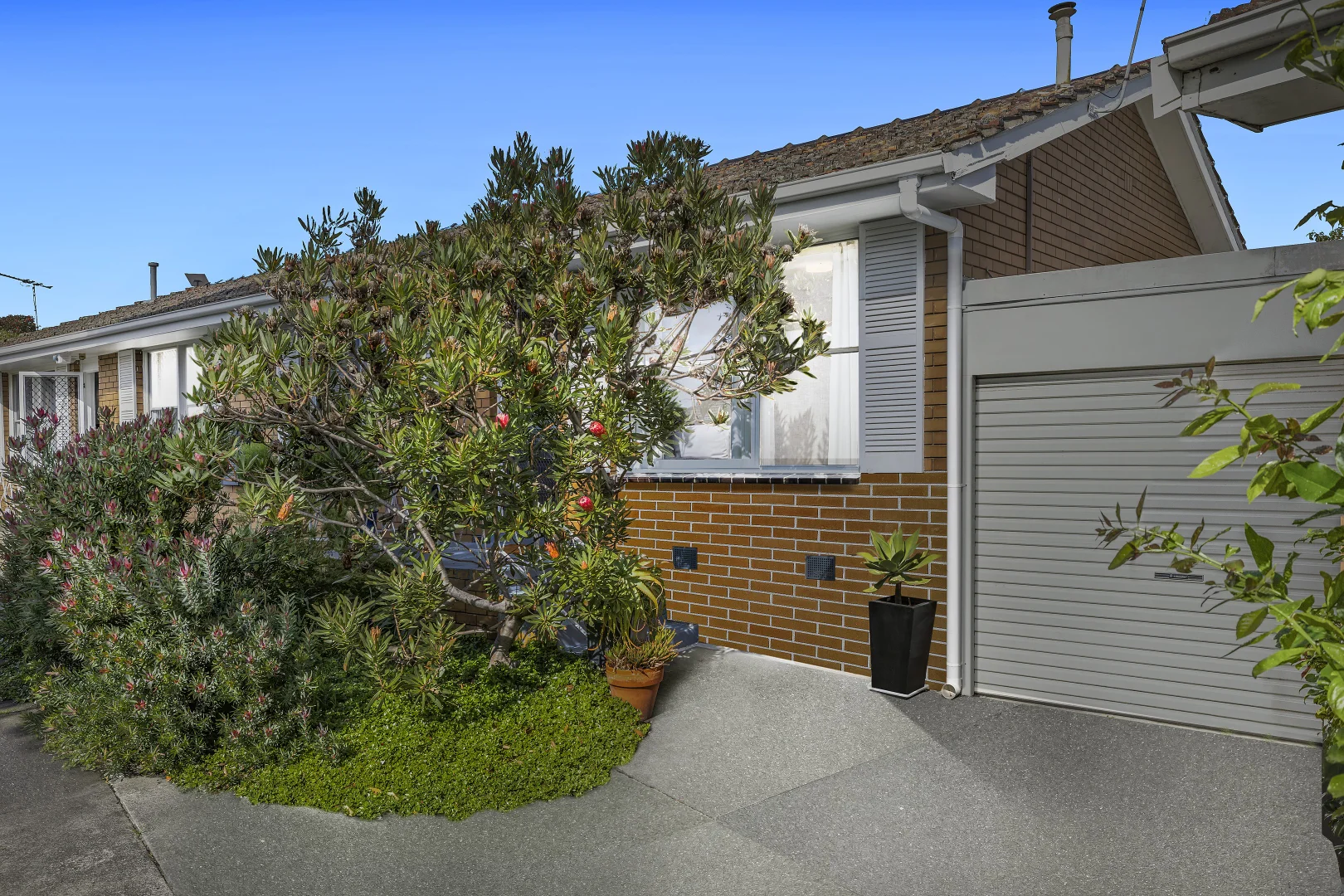 Additional image 2 of 3/14 Golden Avenue, Bonbeach VIC 3196