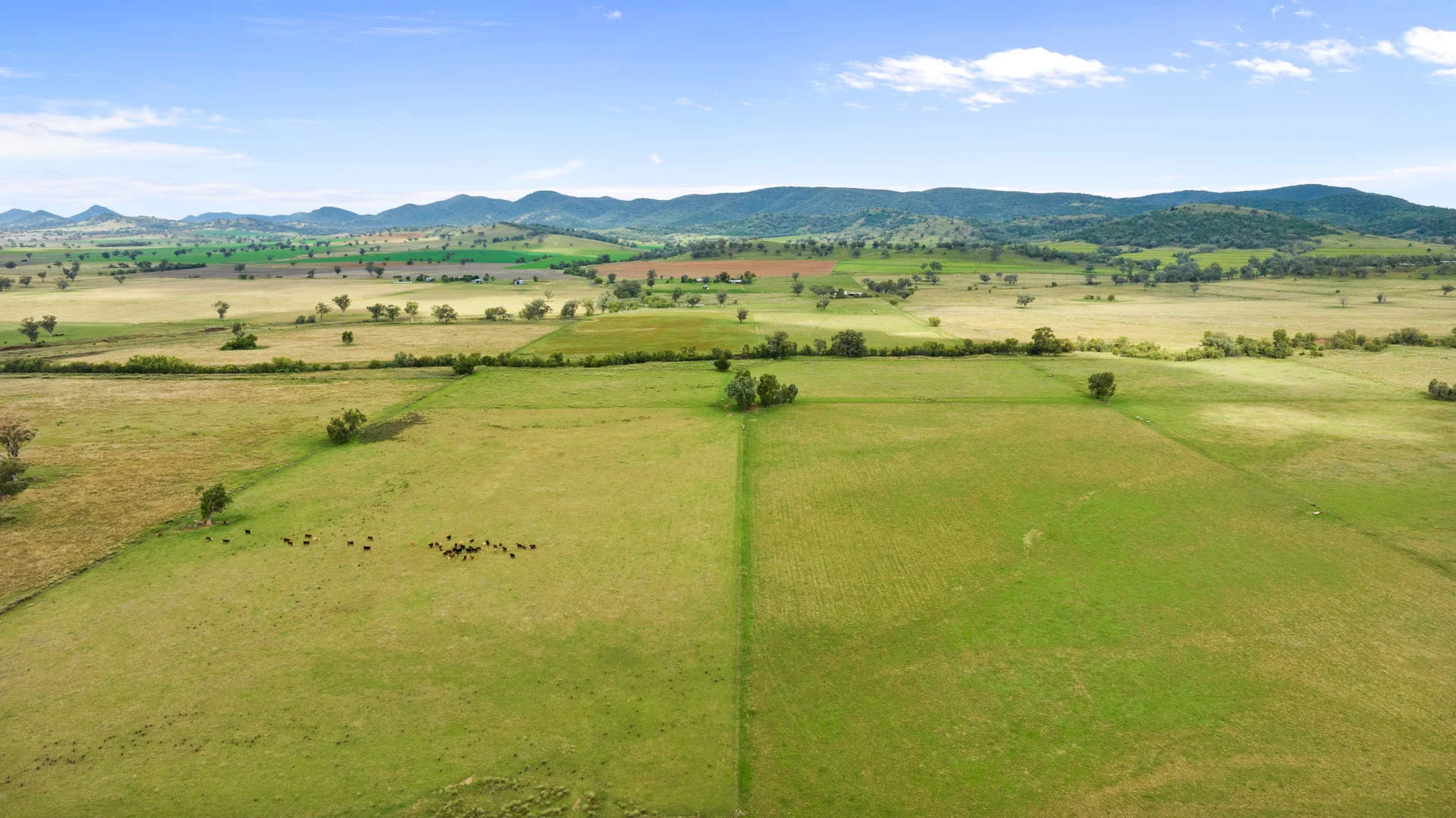 Additional image 11 of "Elstern" 1872 Old Winton Road, Tamworth NSW 2340
