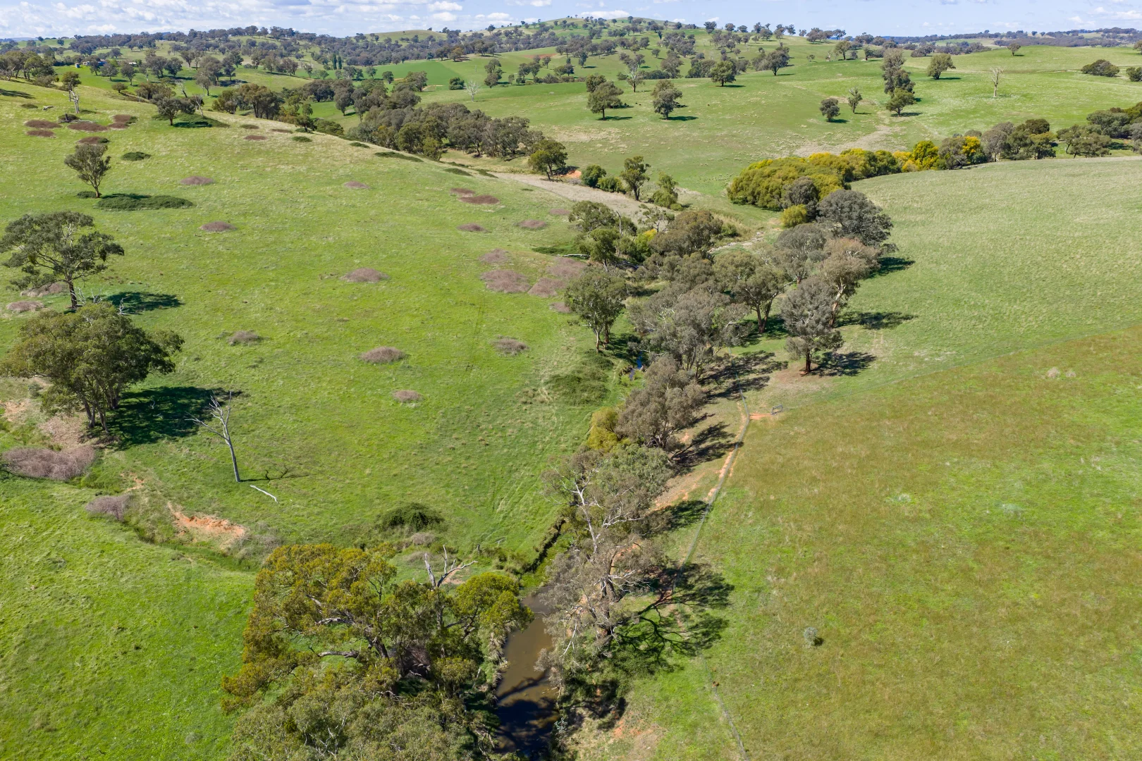Additional image 19 of 7479 Mid Western Highway, Lyndhurst NSW 2797