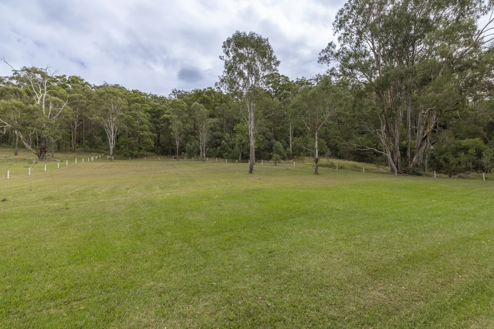 Additional image 38 of 2324 Armidale Road, Blaxlands Creek NSW 2460